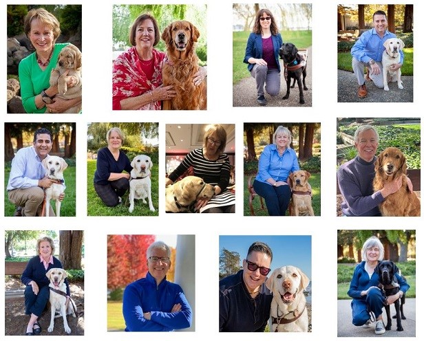 Composite image of GDB's Board of Directors and their dogs